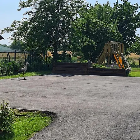 Chonky Cat Апартаменты