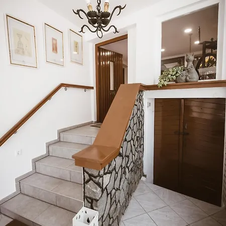 Chonky Cat Apartment