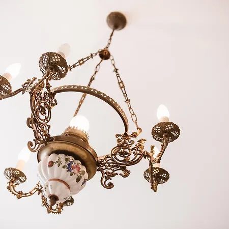 Chonky Cat * Moravske-Toplice