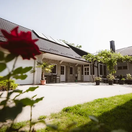 Chonky Cat アパート モラフスケ・トプリツェ