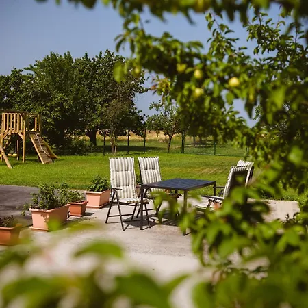 アパート Chonky Cat