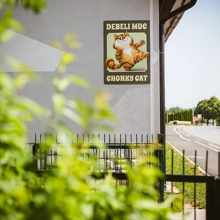 Appartement Chonky Cat *