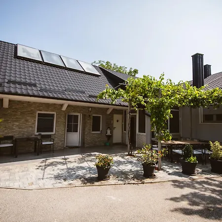 Chonky Cat Моравске-Топлице