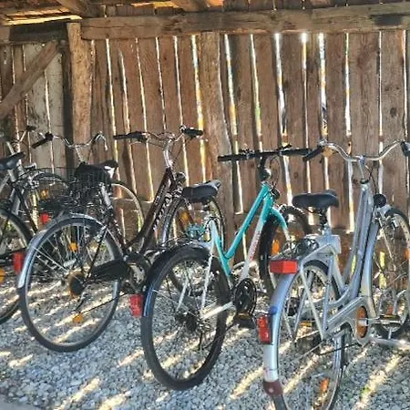 Chonky Cat Апартаменты Моравске-Топлице