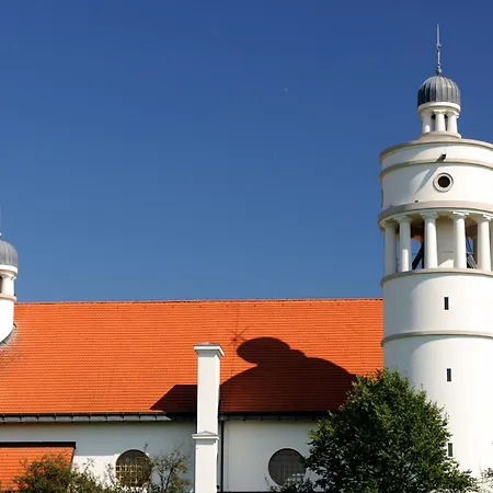 Chonky Cat Moravske-Toplice