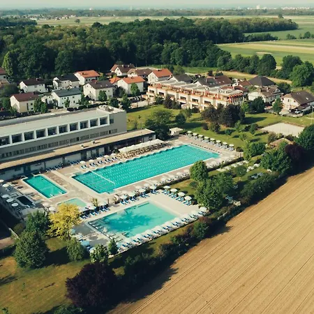 Chonky Cat Appartement