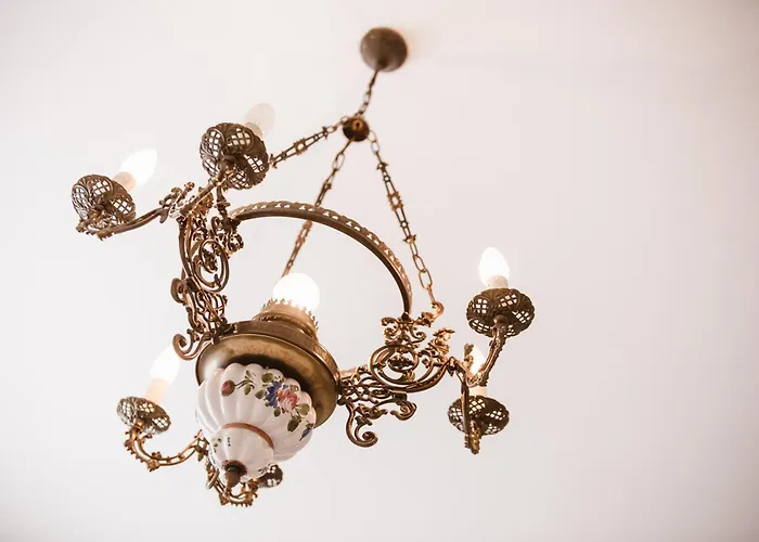 Chonky Cat * Moravske-Toplice