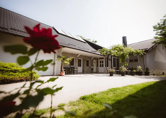 Chonky Cat شقة مورفسكه تيبليتسه