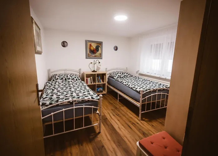 Chonky Cat * مورفسكه تيبليتسه