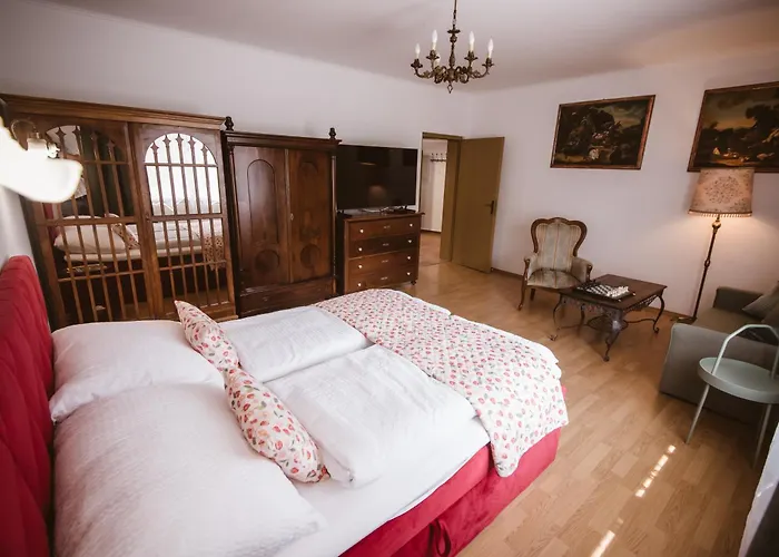 Chonky Cat شقة مورفسكه تيبليتسه