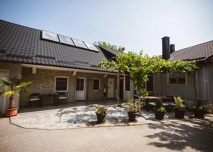 Chonky Cat Moravske-Toplice