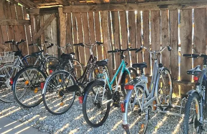 Chonky Cat شقة مورفسكه تيبليتسه