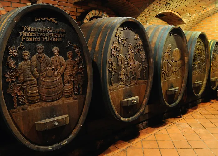 Daire Chonky Cat Moravske-Toplice